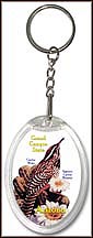 Arizona State Quarter Keychain